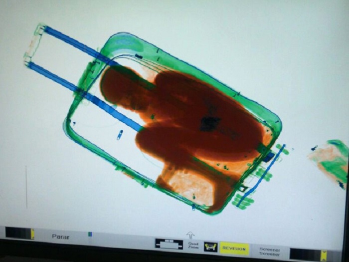 Spain Boy in Suitcase TOPIX