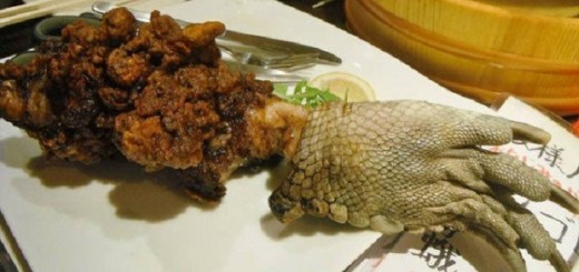 kepta krokodilo koja, egzotiški valgiai, egzotinis maistas